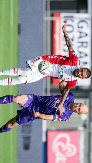 供了不同的 供了不同的