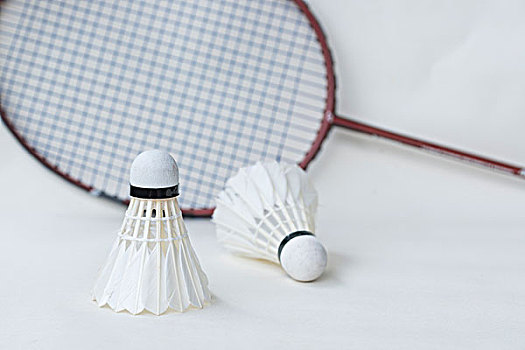 为球员提供 为球员提供